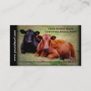 Angus Cattle Photo for Beef Ranch of Boerderij Visitekaartje