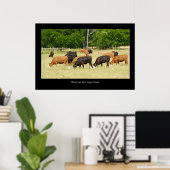 Angus Cattle Poster Print (Thuiskantoor)