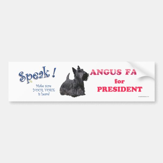 Angus Fala voor PRESIDENT Bumpersticker (Voorkant)