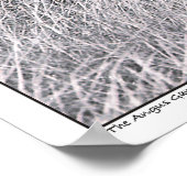 Angus Gang - Black Angus Cattle - Texas Poster (Hoek)