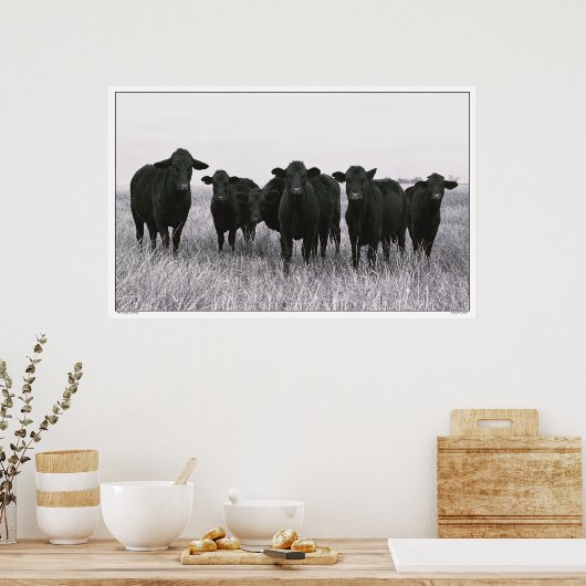 Angus Gang - Black Angus Cattle - Texas Poster (Keuken)