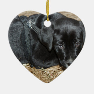 Angus Keramisch Ornament