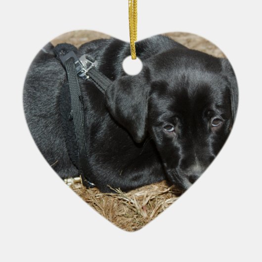 Angus Keramisch Ornament (Voorkant)