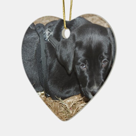 Angus Keramisch Ornament (Links)