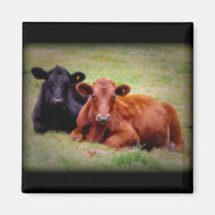 Angus Love - Paar-Side-Side-to-Side Magneet