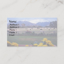 Angus on Pasture Visitekaartje