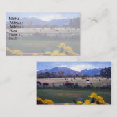 Angus on Pasture Visitekaartje (Voorkant / Achterkant)