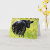 Angus Steer in Tall Yellow Grass Kaart (Gele Bloem)