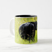 Angus Steer in Tall Yellow Grass Tweekleurige Koffiemok (Voorkant links)