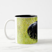 Angus Steer in Tall Yellow Grass Tweekleurige Koffiemok (Links)