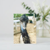 Angy Emu Briefkaart (Staand voorkant)