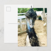 Angy Emu Briefkaart (Voorkant / Achterkant)