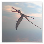 Anhanguera prehistorische vogel foto afdruk (Voorkant)