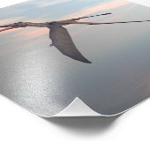 Anhanguera prehistorische vogel foto afdruk (Hoek)