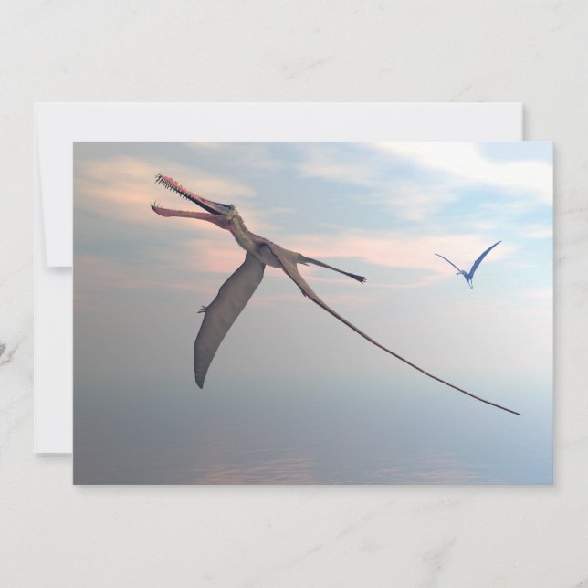 Anhanguera prehistorische vogels (Voorkant)