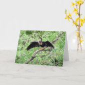 Anhinga (0071) Wenskaart Kaart (Gele Bloem)