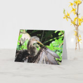 Anhinga (2864) Wenskaart Kaart (Gele Bloem)