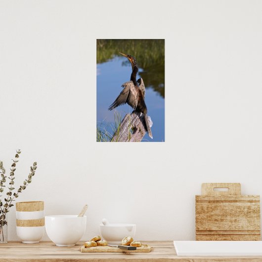 Anhinga bij de Pond Poster (Keuken)
