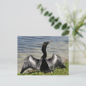 Anhinga Bird Briefkaart (Staand voorkant)