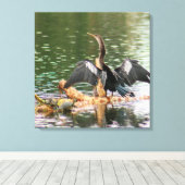 Anhinga Bird Canvas Print (Insitu (Houten vloer))