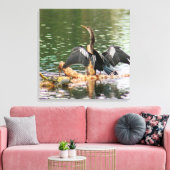Anhinga Bird Canvas Print (Insitu (Woonkamer))