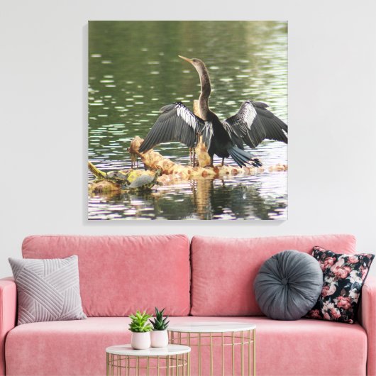 Anhinga Bird Canvas Print (Insitu (Woonkamer))