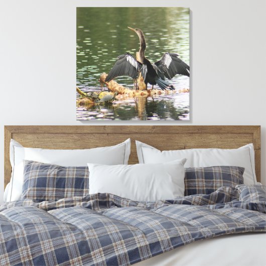 Anhinga Bird Canvas Print (Insitu (Slaapkamer))