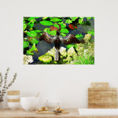 Anhinga bird, Everglades National Park, FL Poster (Keuken)