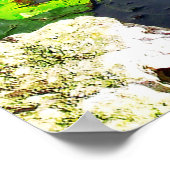 Anhinga bird, Everglades National Park, FL Poster (Hoek)