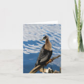 Anhinga Bird Foto Blank Note Kaart (Voorkant)