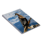 Anhinga Bird Foto Spiral Notitieboek (Rechterzijde)