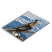 Anhinga Bird Foto Spiral Notitieboek (Linkerzijde)