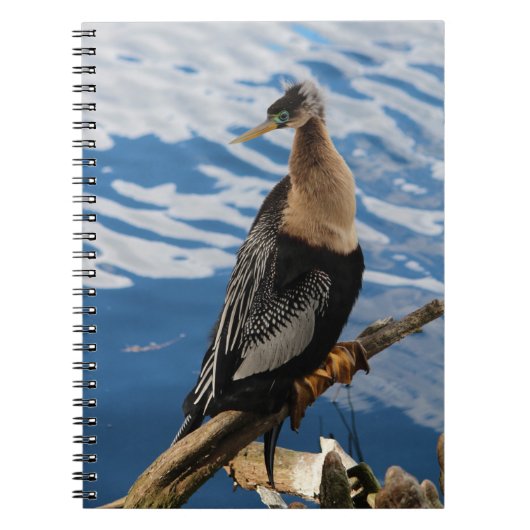 Anhinga Bird Foto Spiral Notitieboek (Voorkant)
