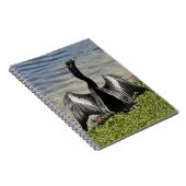 Anhinga Bird Notitieboek (Rechterzijde)