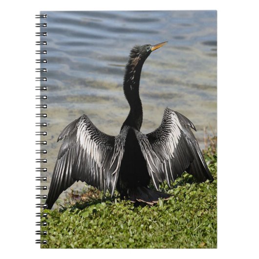 Anhinga Bird Notitieboek (Voorkant)