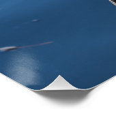 Anhinga Bird Poster (Hoek)