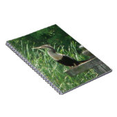 Anhinga Bird Spiral Photo Notitieboek (Rechterzijde)