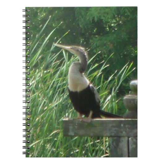 Anhinga Bird Spiral Photo Notitieboek (Voorkant)