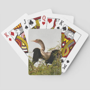 Anhinga Bird Standard-spelkaarten Speelkaarten