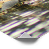 Anhinga die zijn vaders fotografie-Poster droog Poster (Hoek)