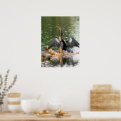 Anhinga die zijn vaders fotografie-Poster droog Poster (Keuken)