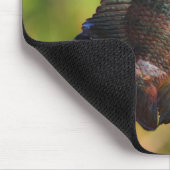 Anhinga en vis muismat (Hoek)
