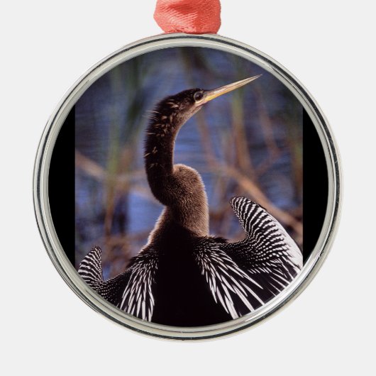 anhinga en vleugels metalen ornament (Voorkant)
