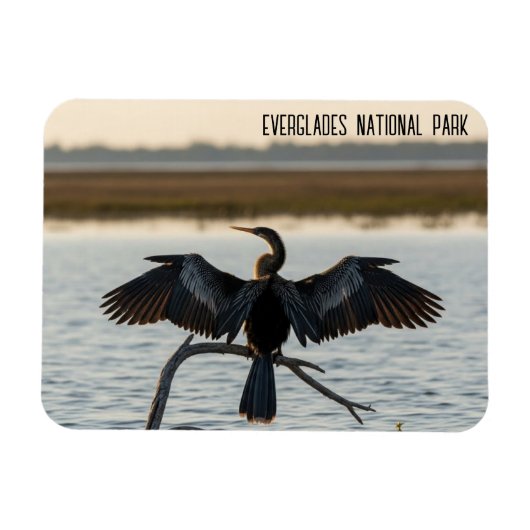 Anhinga Everglades National Park Magneet (Horizontaal)