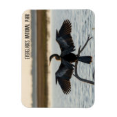 Anhinga Everglades National Park Magneet (Verticaal)