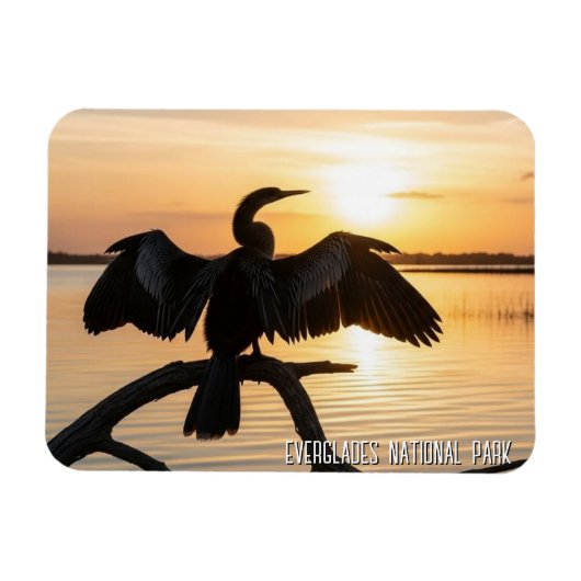 Anhinga Everglades National Park Magneet (Horizontaal)