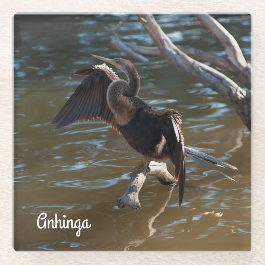 Anhinga Glazen Onderzetter (Voorkant)