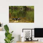 Anhinga in de Everglades Poster (Thuiskantoor)