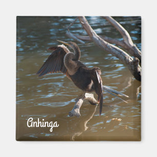 Anhinga Magneet