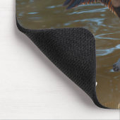 Anhinga Muismat (Hoek)